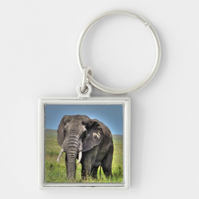 Afrikanischer Elefant-u. Savanne-Gräser Schlüsselanhänger (Vorne)