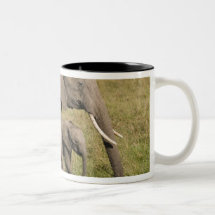 Afrikanischer Elefant und Jungtier (Loxodonta afri Zweifarbige Tasse