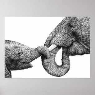 Afrikanischer Elefant und Kalb-Poster Poster