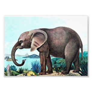 Afrikanischer Elefant-Vintage Malerei Fotodruck