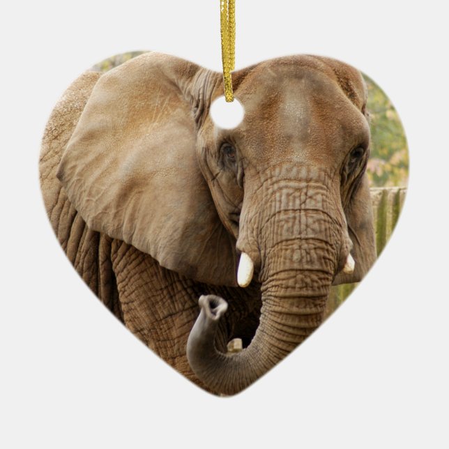 Afrikanischer Elefant-Weihnachtsverzierung Keramikornament (Vorne)