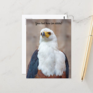 Afrikanischer Fischadler-Grußkarte Postkarte