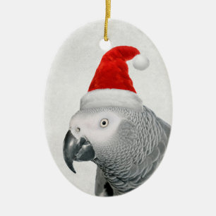 Afrikanischer Grau Papagei in einer Weihnachtsmann Keramik Ornament