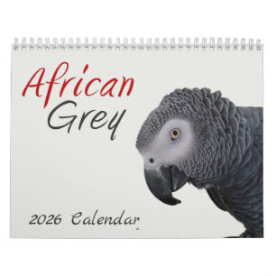 Afrikanischer Grau-Papagei-Kalender 2025 Kalender