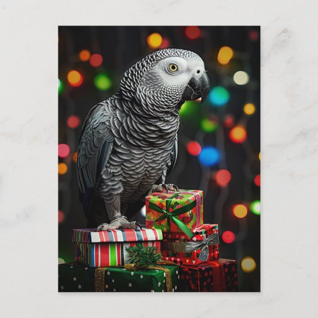 Afrikanischer Grauer auf Geschenken — Weihnachtsgr Feiertagspostkarte (Vorderseite)