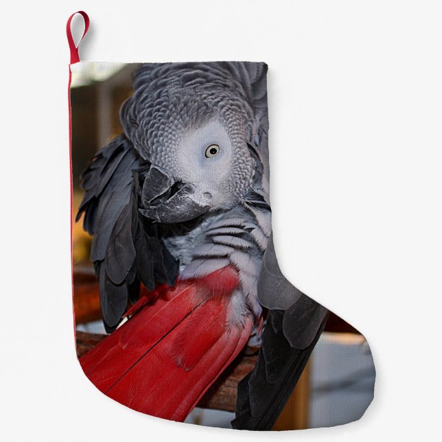 Afrikanischer Graupapagei aus dem flexiblen Kongo  Kleiner Weihnachtsstrumpf (Vorderseite)