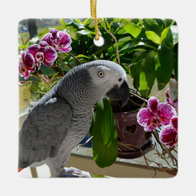 Afrikanischer Graupapagei mit Orchideen Keramikornament (Vorderseite)