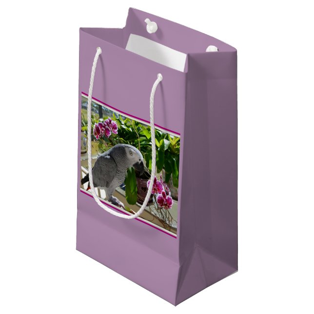 Afrikanischer Graupapagei mit Orchideen Kleine Geschenktüte (Vorderseite Schrägansicht)