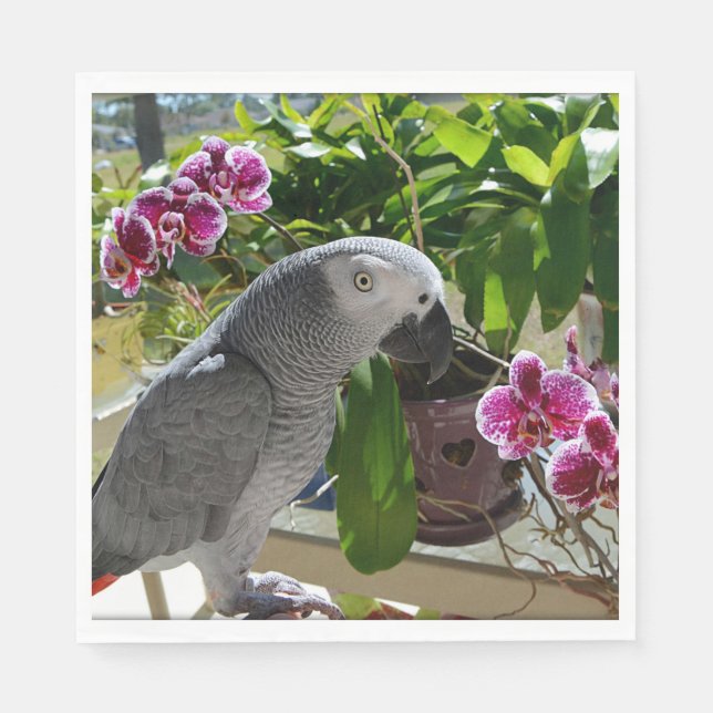 Afrikanischer Graupapagei mit Orchideen Serviette (Vorderseite)
