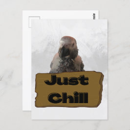 Afrikanischer Graupapagei, Postcross Postcard Postkarte