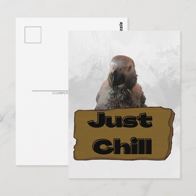 Afrikanischer Graupapagei, Postcross Postcard Postkarte (Vorne/Hinten)