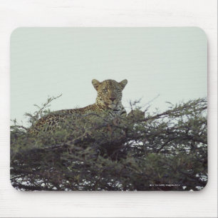 Afrikanischer Leopard Mousepad