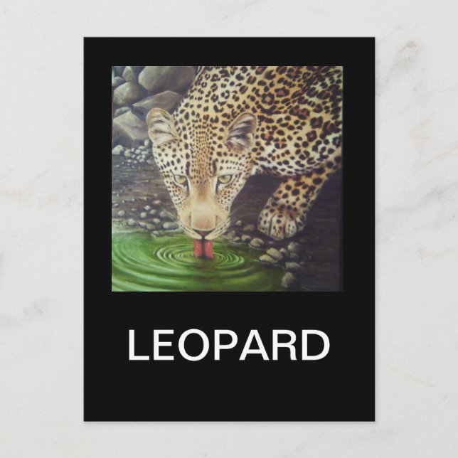 Afrikanischer Leopard Postkarte (Vorderseite)