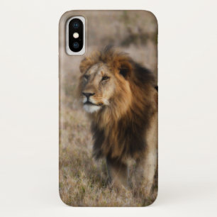 Afrikanischer Löwe im Gras iPhone X Hülle