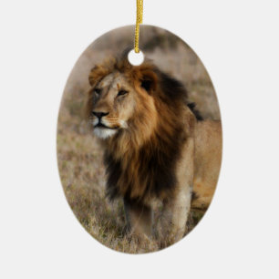 Afrikanischer Löwe im Gras Keramikornament