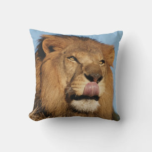 Afrikanischer Löwe (Panthera Leo), Afrikanische Sa Kissen
