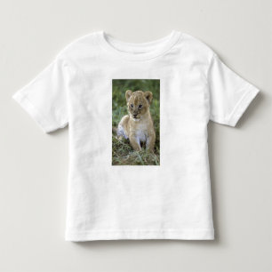 Afrikanischer Löwe, Panthera leo), Tansania, Kleinkind T-shirt