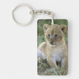 Afrikanischer Löwe, Panthera leo), Tansania, Schlüsselanhänger