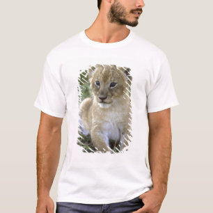 Afrikanischer Löwe, Panthera leo), Tansania, T-Shirt