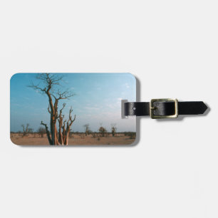 Afrikanischer Moringo-Baum auf der Ebene, Etosha-N Gepäckanhänger