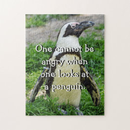 Afrikanischer Pinguin