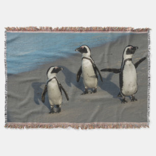 Afrikanischer Pinguine Spheniscus Demersus Decke