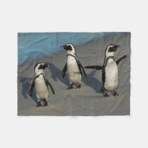 Afrikanischer Pinguine  Spheniscus Demersus Fleecedecke