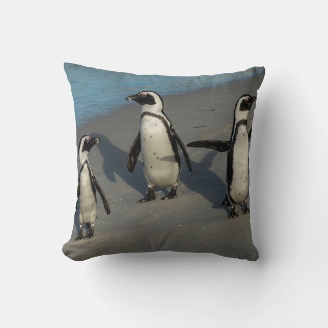 Afrikanischer Pinguine| Spheniscus Demersus Kissen (Vorderseite)