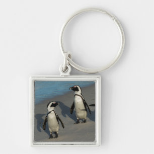 Afrikanischer Pinguine Spheniscus Demersus Schlüsselanhänger