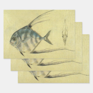 Afrikanischer Pompano-Fisch, Vintage Fadenflossen- Geschenkpapier Set