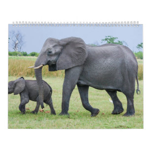 Afrikanischer Safari-Kalender Kalender