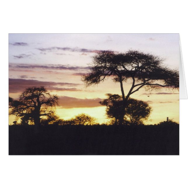 Afrikanischer Sonnenuntergang (Vorderseite (Horizontal))