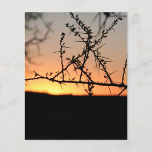 Afrikanischer Sonnenuntergang Flyer