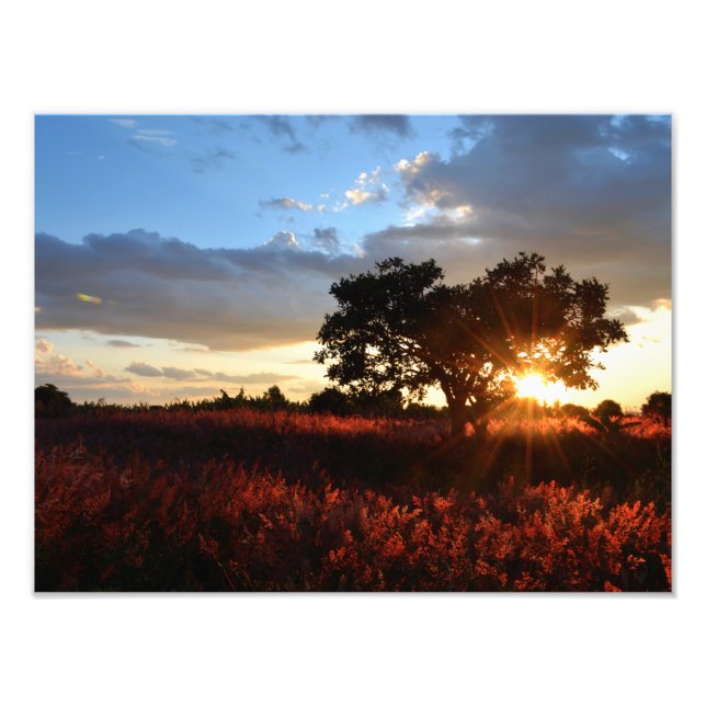 Afrikanischer Sonnenuntergang Fotodruck (Vorne)
