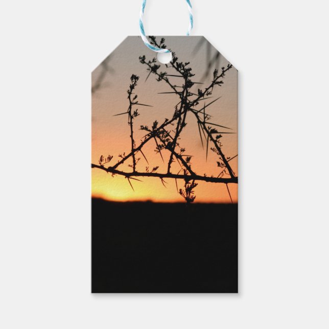 Afrikanischer Sonnenuntergang mit dorniger Acacia- Geschenkanhänger (Vorderseite)