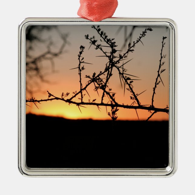 Afrikanischer Sonnenuntergang mit dorniger Acacia- Ornament Aus Metall (Vorne)
