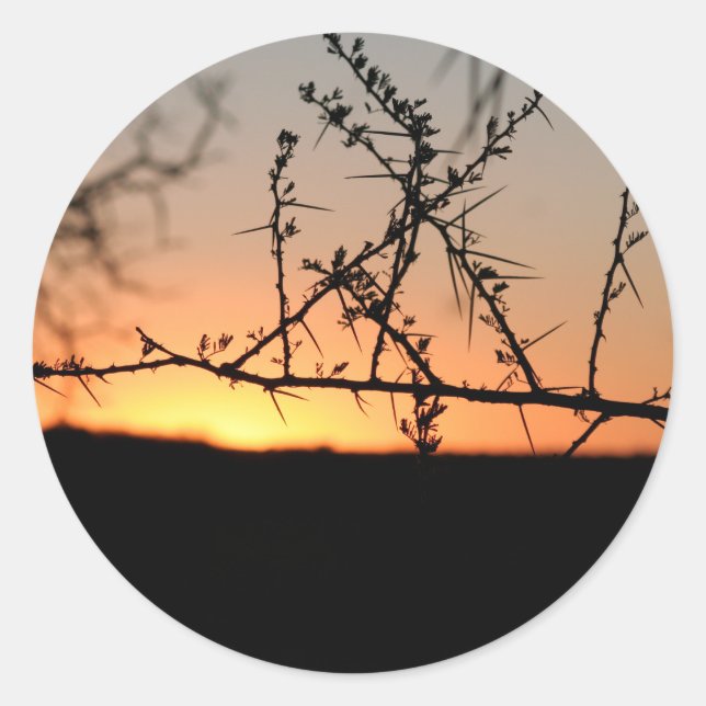 Afrikanischer Sonnenuntergang mit dorniger Acacia- Runder Aufkleber (Vorderseite)