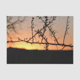 Afrikanischer Sonnenuntergang mit dorniger Acacia- Seidenpapier