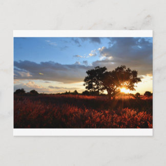 Afrikanischer Sonnenuntergang Postkarte