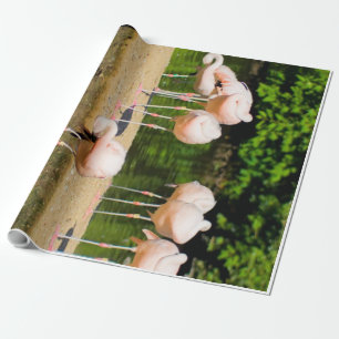 Afrikanischer Tierbeere Funny Flamingo Lovers Geschenkpapier