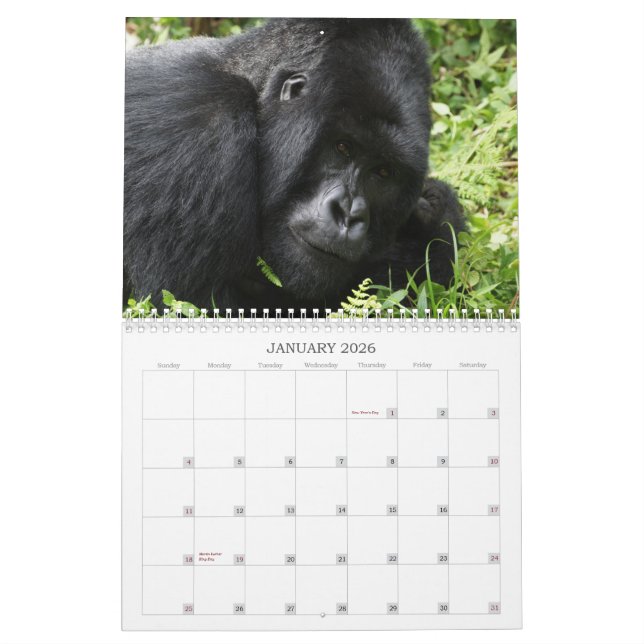 Afrikanischer Tierkalender 2013 Kalender (Jan 2026)