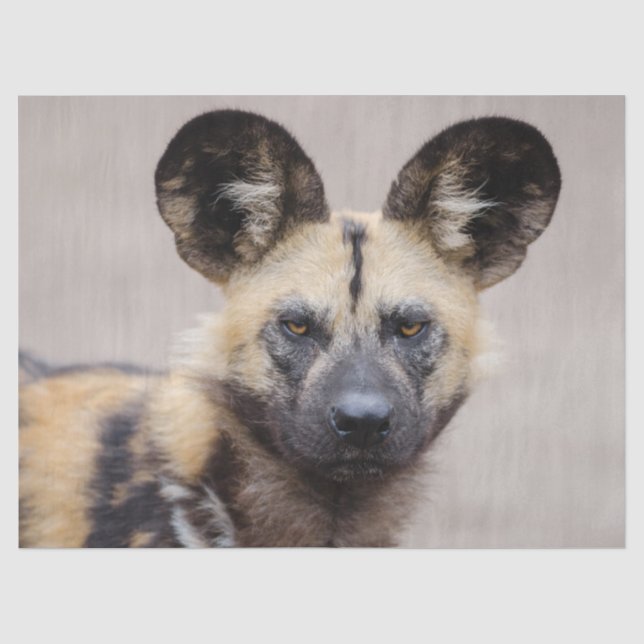Afrikanischer Wildhund (Gemalter Hund) Seidenpapier (Vorderseite)