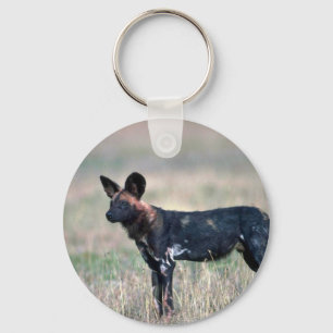 Afrikanischer Wildhund Schlüsselanhänger