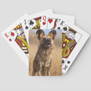 Afrikanischer Wildhund Spielkarten