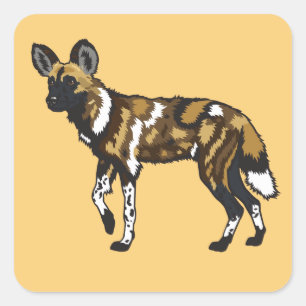 Afrikanischer Wildhund. Wildes Afrika Quadratischer Aufkleber