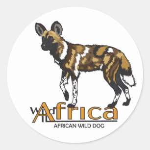 Afrikanischer Wildhund. Wildes Afrika Runder Aufkleber