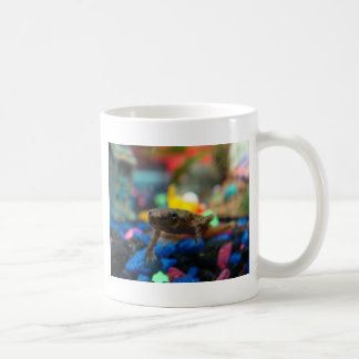 Afrikanischer zwergartiger Frosch Kaffeetasse