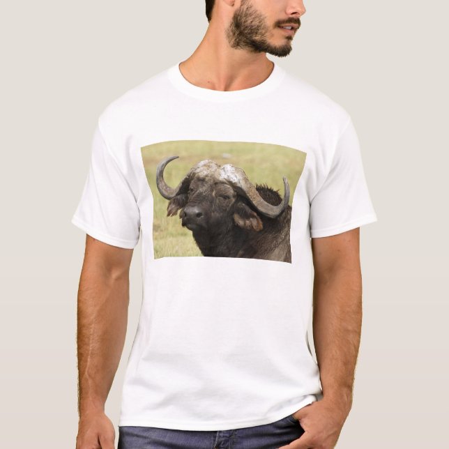 Afrikanisches Buffalo, Syncerus-Kaffeehaus T-Shirt (Vorderseite)