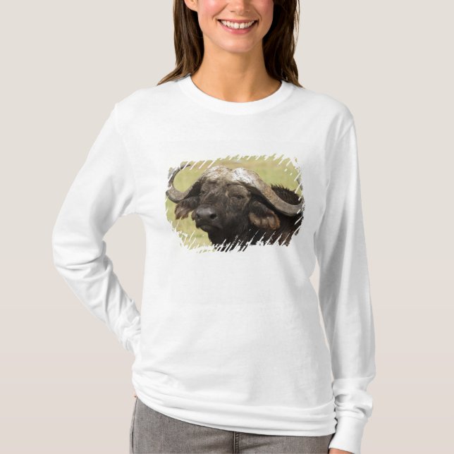 Afrikanisches Buffalo, Syncerus-Kaffeehaus T-Shirt (Vorderseite)