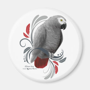 Afrikanisches Grau Magnet